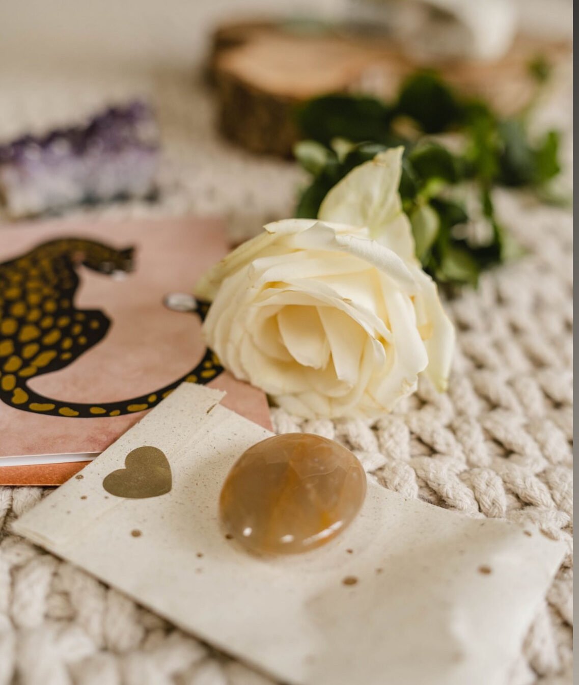 White rose with crystals and candles
